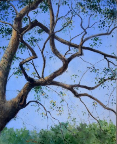 Branching Out<br>original acrylic painting on 24" x 30" stretched canvas, $975.00, S/H$45.00