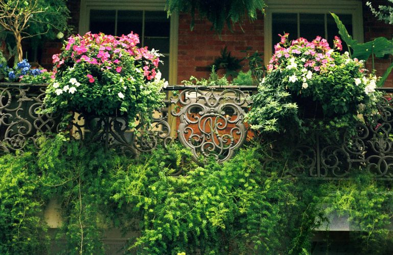 Pontalba Balcony<br>limited edition photograph, signed and numbered<br>11" x 14" $110.00, 17" x 20" $175.00, S/H $18.00