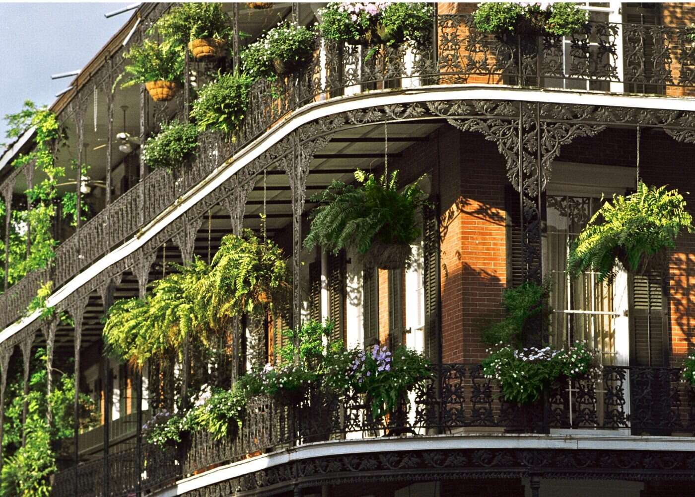 Royal Balcony
